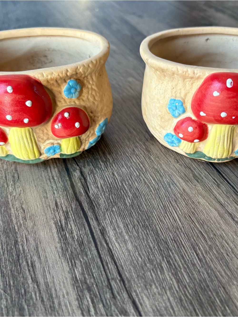 Mushroom Cottagecore Ceramic Succulent Small Houseplant Pots Set Of 2